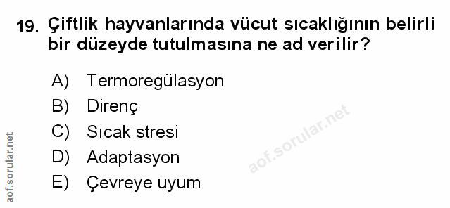 Soru 19