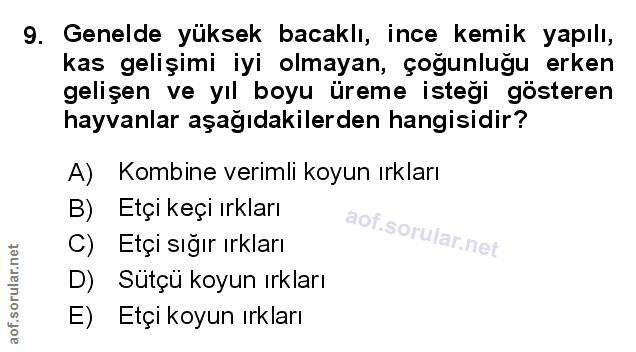 Soru 9