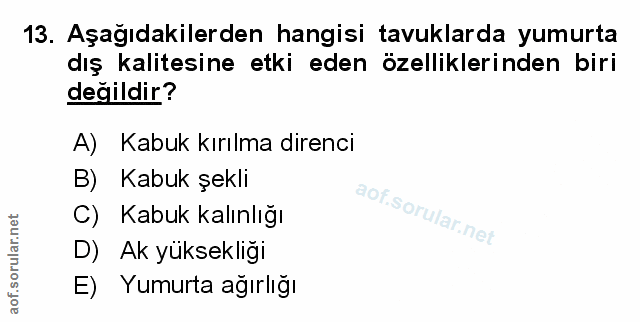 Soru 13