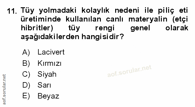 Soru 11