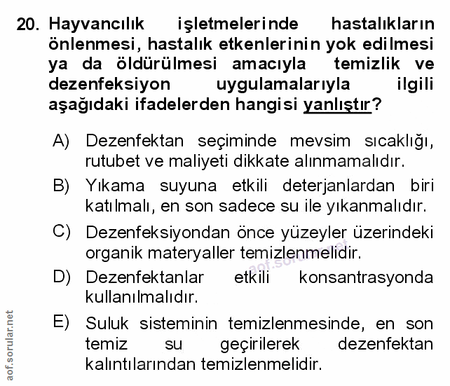 Soru 20