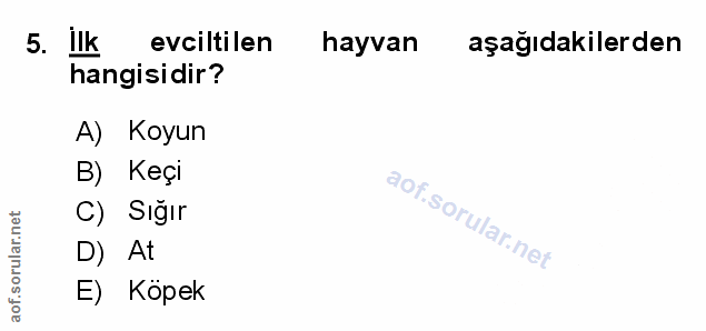 Soru 5