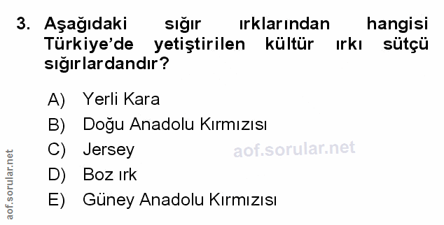 Soru 3