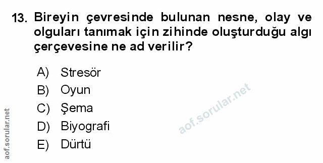 Soru 13