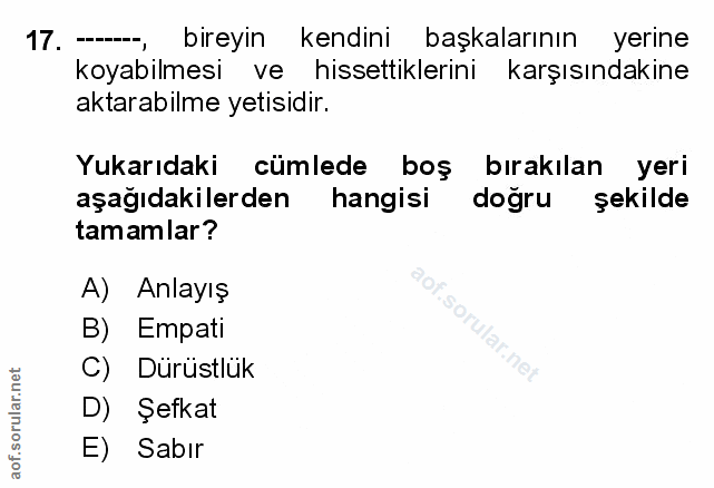 Soru 17
