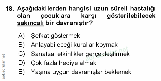 Soru 18