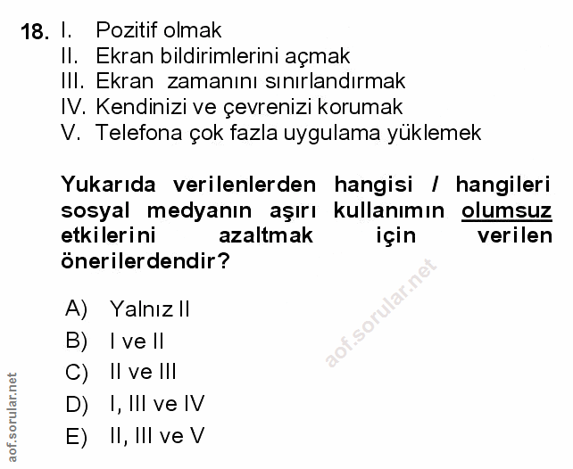 Soru 18