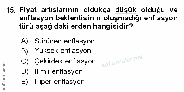 Soru 15