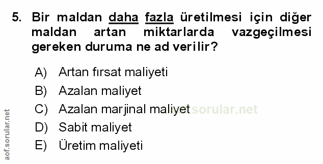 Soru 5