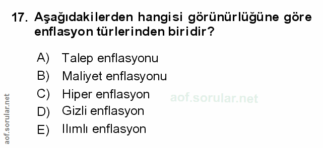 Soru 17