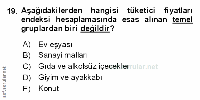 Soru 19