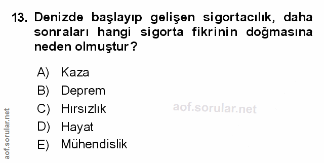 Soru 13