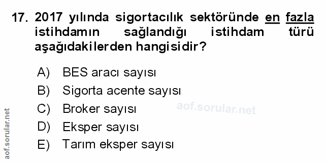 Soru 17