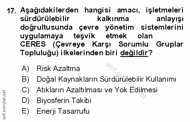 Soru 17