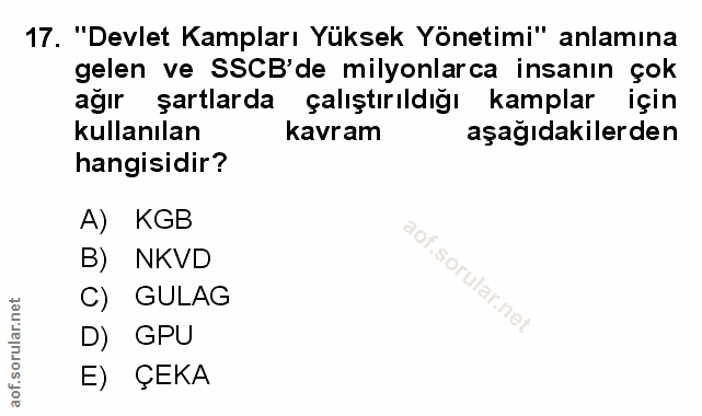 Soru 17