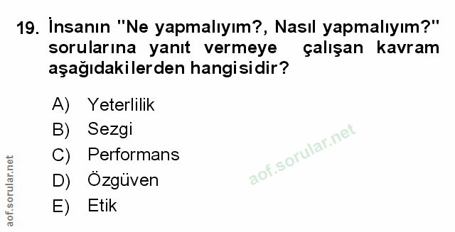 Soru 19