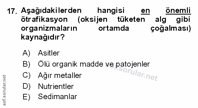Soru 17