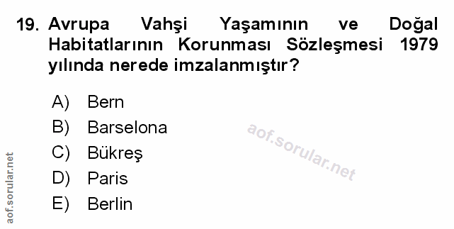 Soru 19