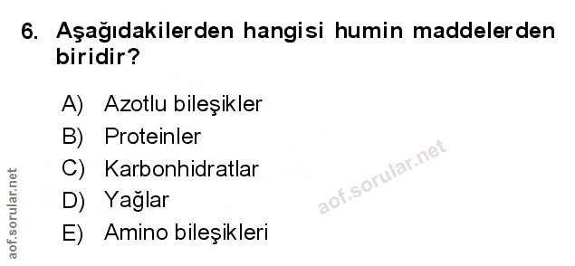 Soru 6