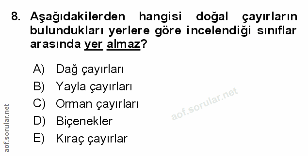 Soru 8