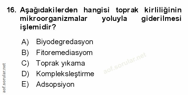 Soru 16