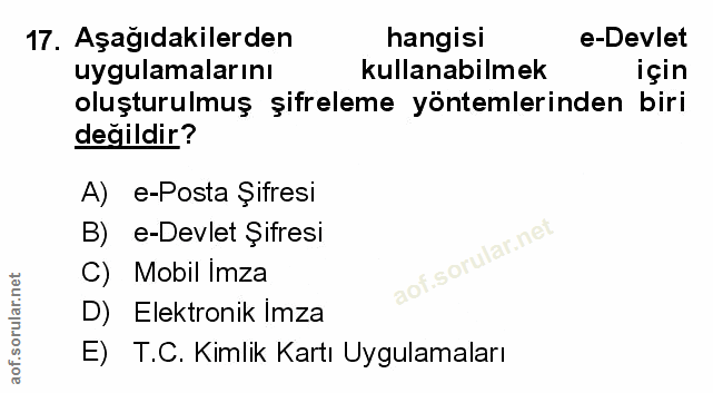 Soru 17