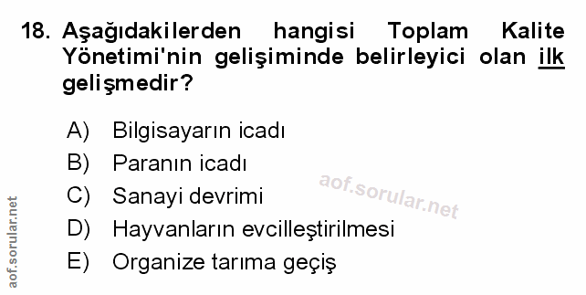 Soru 18