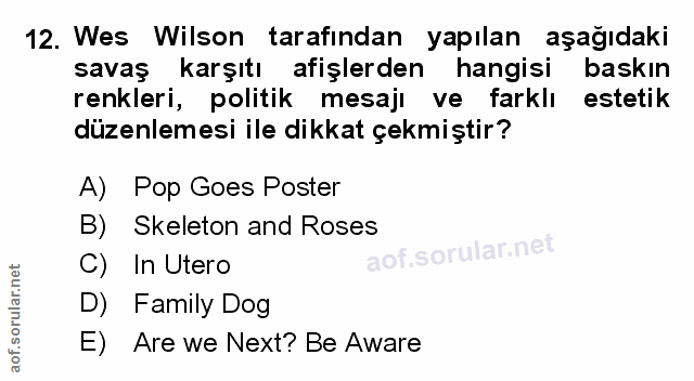Soru 12