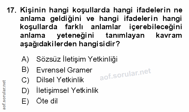 Soru 17