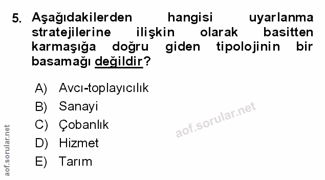Soru 5