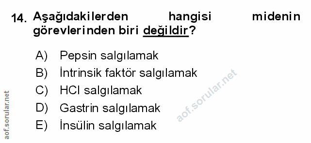 Soru 14