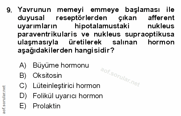 Soru 9