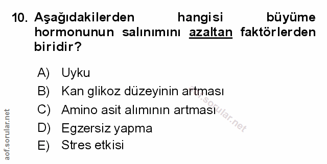 Soru 10