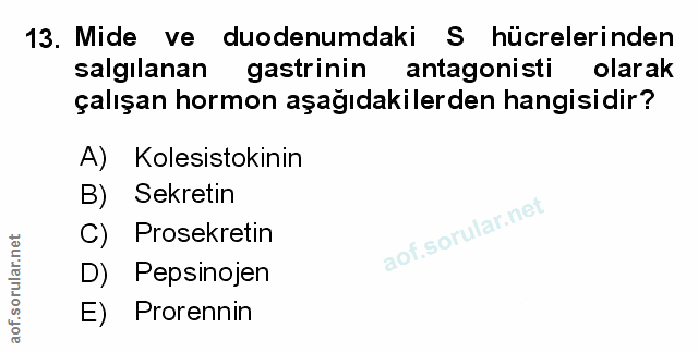 Soru 13