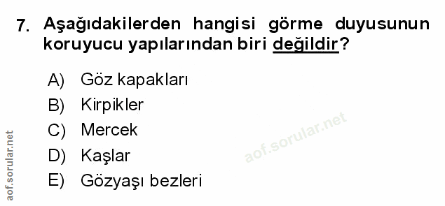 Soru 7