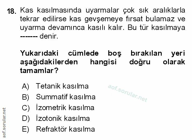 Soru 18