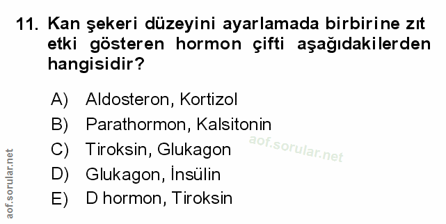 Soru 11