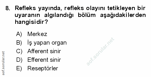Soru 8