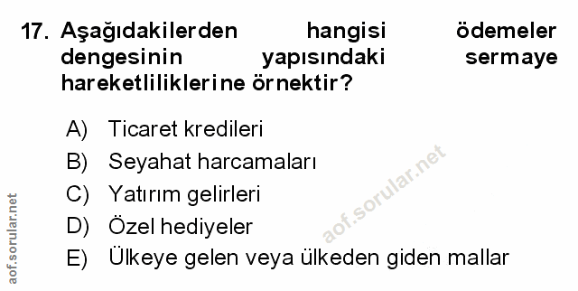 Soru 17