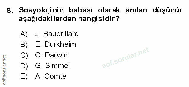Soru 8