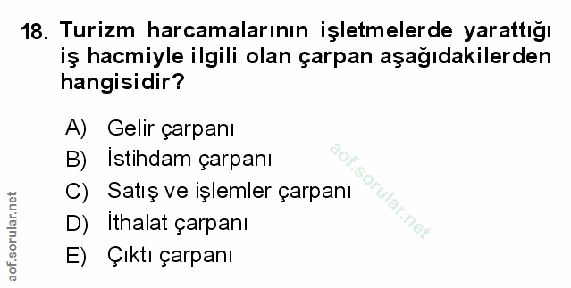 Soru 18