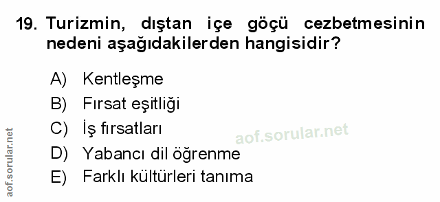 Soru 19