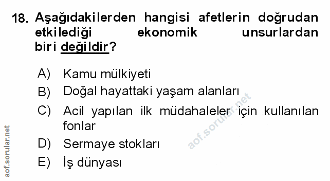Soru 18