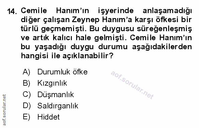 Soru 14