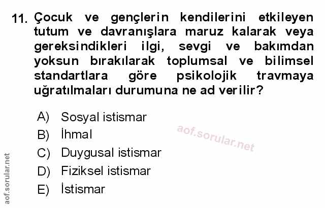 Soru 11