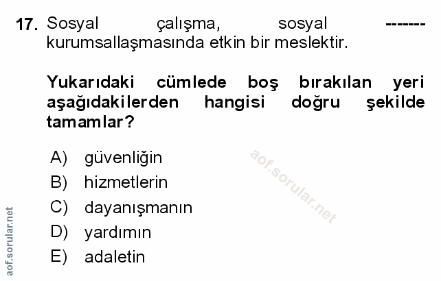 Soru 17