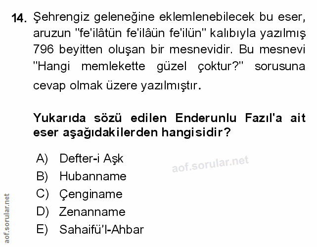 Soru 14