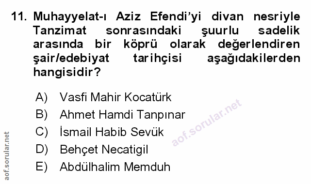 Soru 11