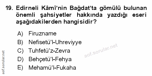 Soru 19