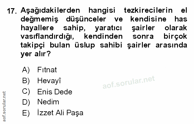 Soru 17